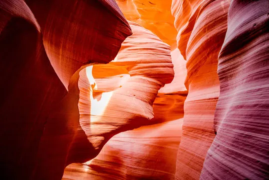 问鼎娱乐 平台界面